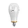 bulb led rgb garden